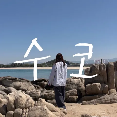 수코