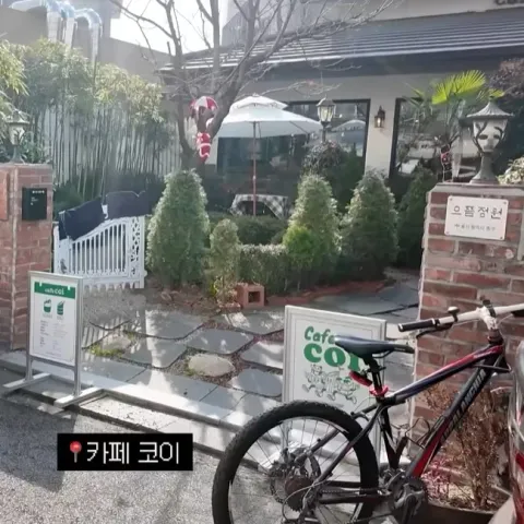 카페코이