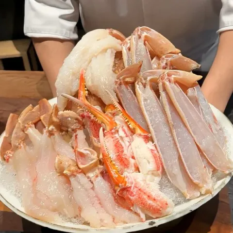 코레츠 라이브