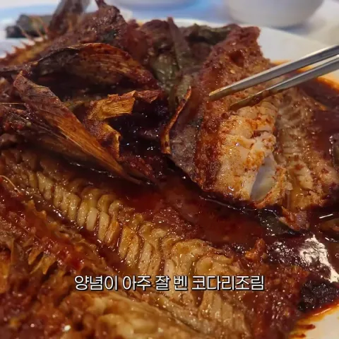 정통코다리