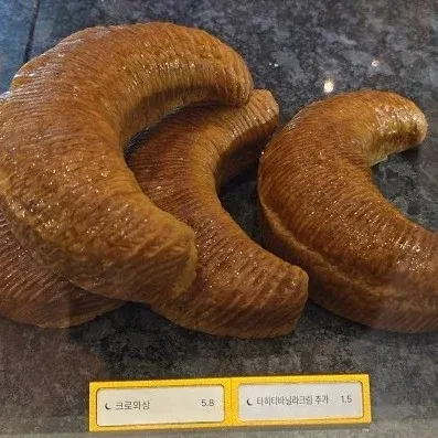 레브두