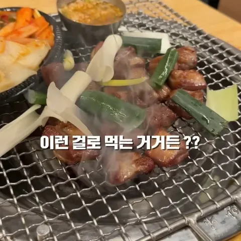 을지갈매기