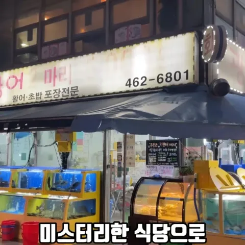광어2마리
