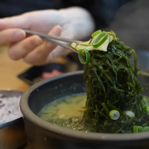 김희선제주몸국