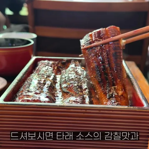 타마