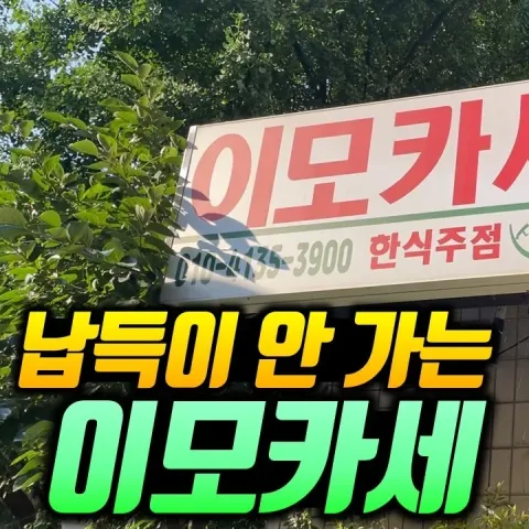 샐러드킹
