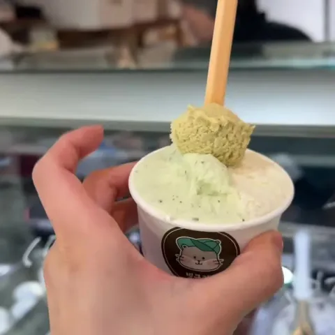 빙구례