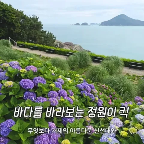카페 바람의언덕