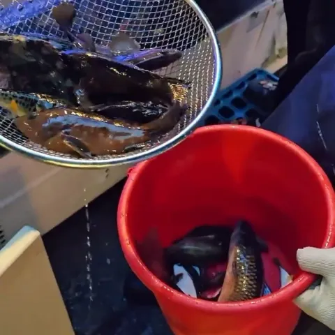 살아있네