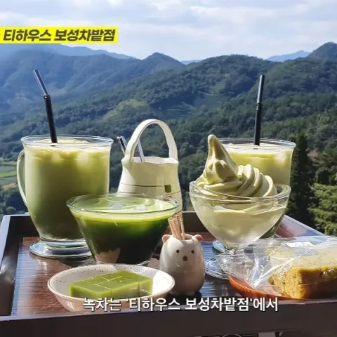 초록잎이 펼치는 세상 티하우스 보성차밭점