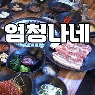 최고기