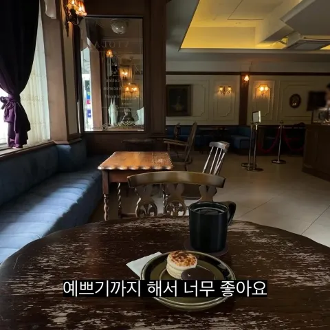 비올라